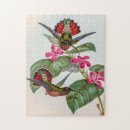 Suche nach roter vogel puzzle Natur