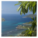 Suche nach seychellen fliesen Tropisch