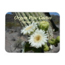 Suche nach cactus magnete Souvenir