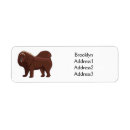 Suche nach mastiffs Haustier