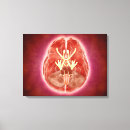 Suche nach gehirn leinwandbilder 3d