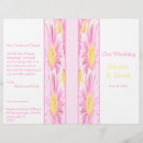 Suche nach gerberas Rosa