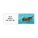 Suche nach schwimmen rücksende aufkleber Adresse