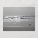 Suche nach seemöwe poster Wellen