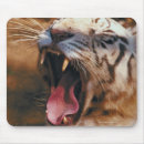Suche nach bengalischer tiger mousepads Tier
