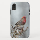 Suche nach fink iphone hüllen Wildvogel