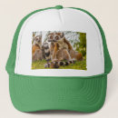 Suche nach lemur accessoires Madagaskar