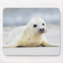 Suche nach baby mousepads Schnee