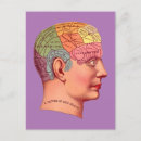 Suche nach phrenologie postkarten Brain