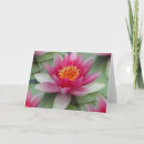 Suche nach wasserlilie postkarten Meditation