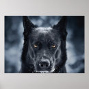 Suche nach hirte poster Tiere