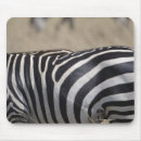 Suche nach tierhaut mousepads Natur
