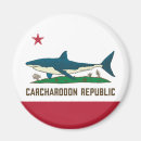 Suche nach hai magnete Großer weißer hai