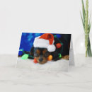 Suche nach kavalier karten Weihnachten