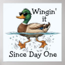 Suche nach enten cartoons poster Lustig