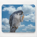 Suche nach der hudson mousepads Wild