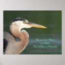 Suche nach great blue heron poster Großer blauer held