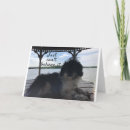 Suche nach shih tzu geburtstag karten Familie