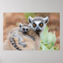 Suche nach rücken poster Niedliche tiere