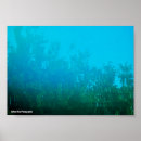 Suche nach spiegelung poster Wasser