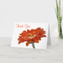 Suche nach orange gerbera karten Durchtränkt