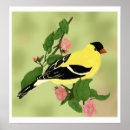Suche nach goldfink poster Finch