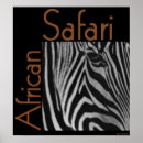Suche nach safari poster Tiere