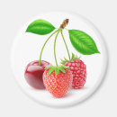 Suche nach beeren magnete Erdbeere
