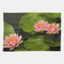 Suche nach kenilworth Seerose