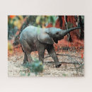 Suche nach babyelefant puzzle Tier
