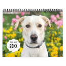 Suche nach haustier kalender Einzigartig