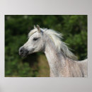 Suche nach arabische sprache poster Grau