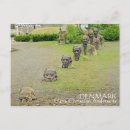 Suche nach hans poster Europa