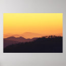 Suche nach nature photo poster Forest