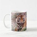 Suche nach weißer tiger tassen Fotografie