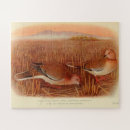 Suche nach taube puzzle Natur