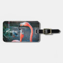 Suche nach flamingos gepäckanhänger Vogelvogel