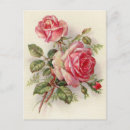 Suche nach vintage floral postkarten Rosa