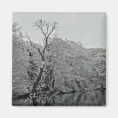 Suche nach baum magnete Fotografie