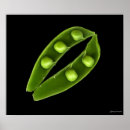 Suche nach süße erbse poster Erbsen