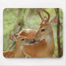 Suche nach kitz mousepads Dollar