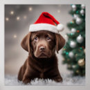 Suche nach lustige schokolade poster Santa