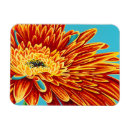 Suche nach bürsten magnete Blätter