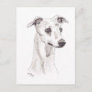 Suche nach whippet postkarten Sehenswürdigkeit