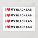 Suche nach gelber labrador poster Liebe