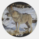 Suche nach wilde wölfe aufkleber Wildtier