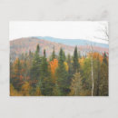 Suche nach herbstlich postkarten Bäume
