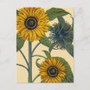 Suche nach besler poster Blume