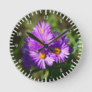 Suche nach aster wanduhren Natur