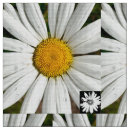 Suche nach gänseblümchen stoffe Sommer